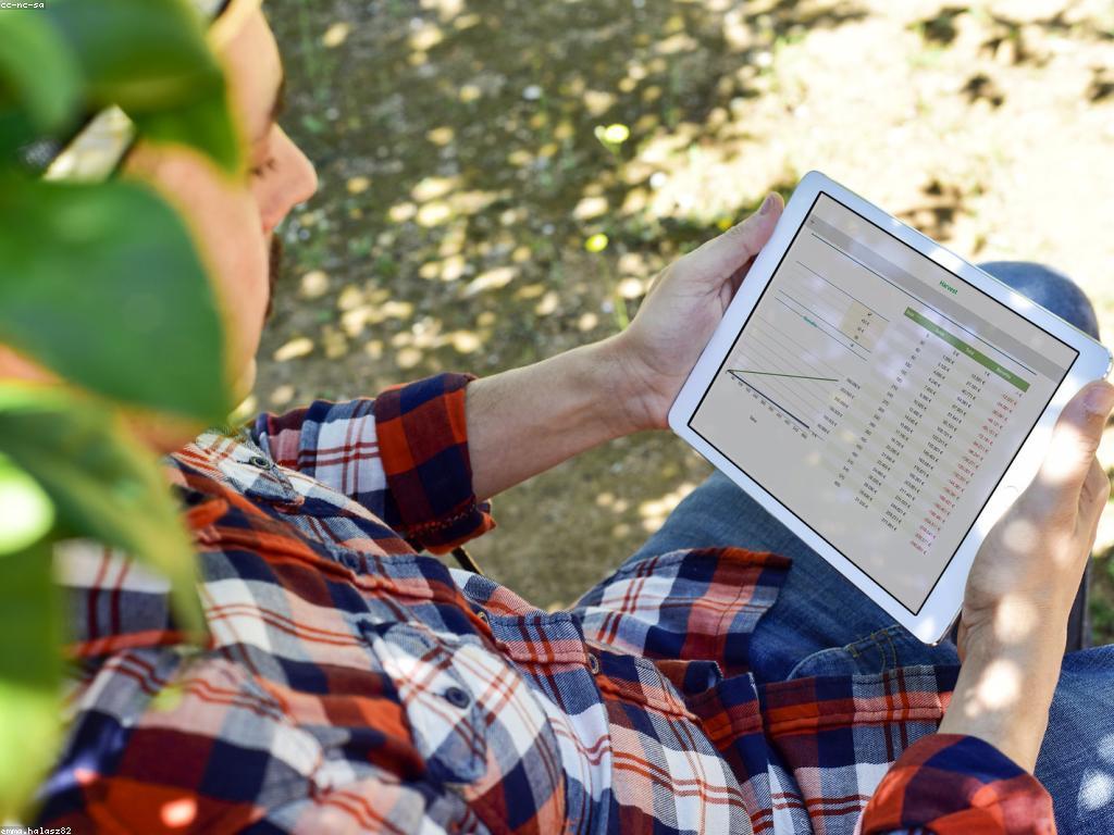 ឱកាសការងារនៅក្នុងសេដ្ឋកិច្ចសម័យទំនើប