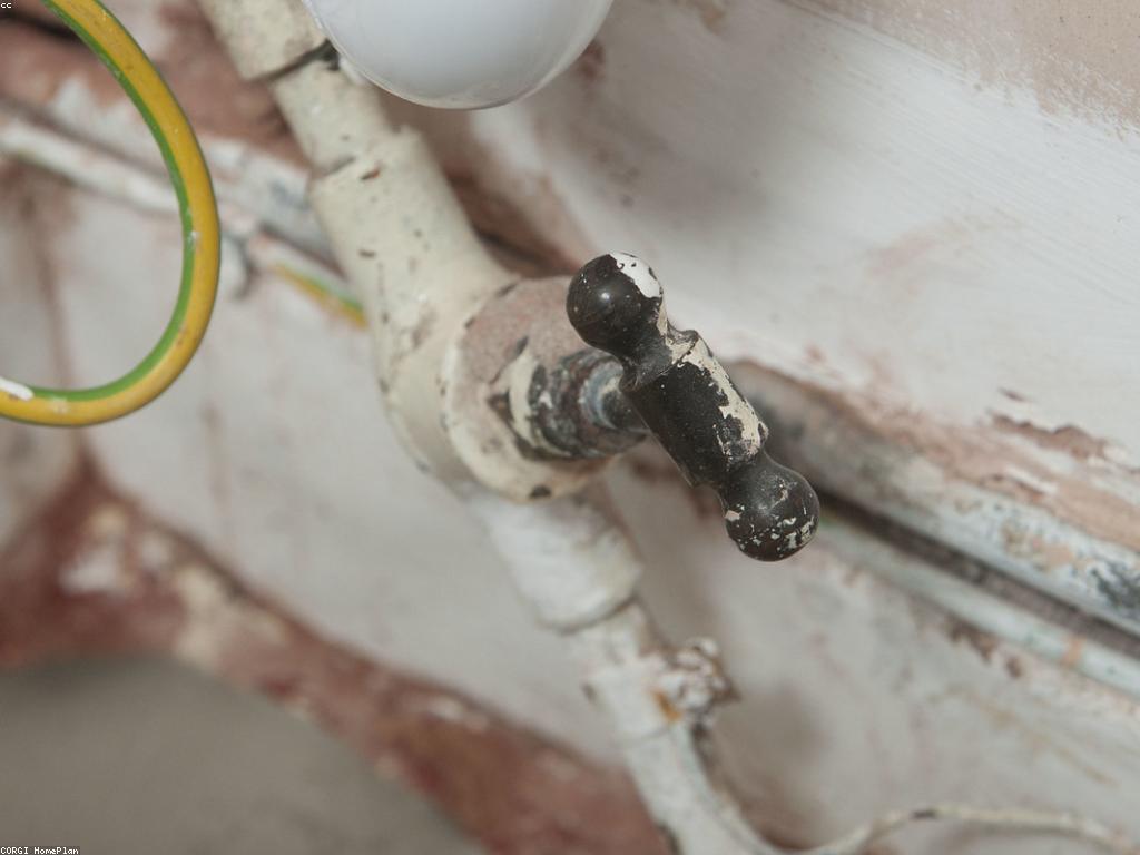 របៀបជ្រើសរើសសេវាកម្មចំប៉ីល្អជាងគេ