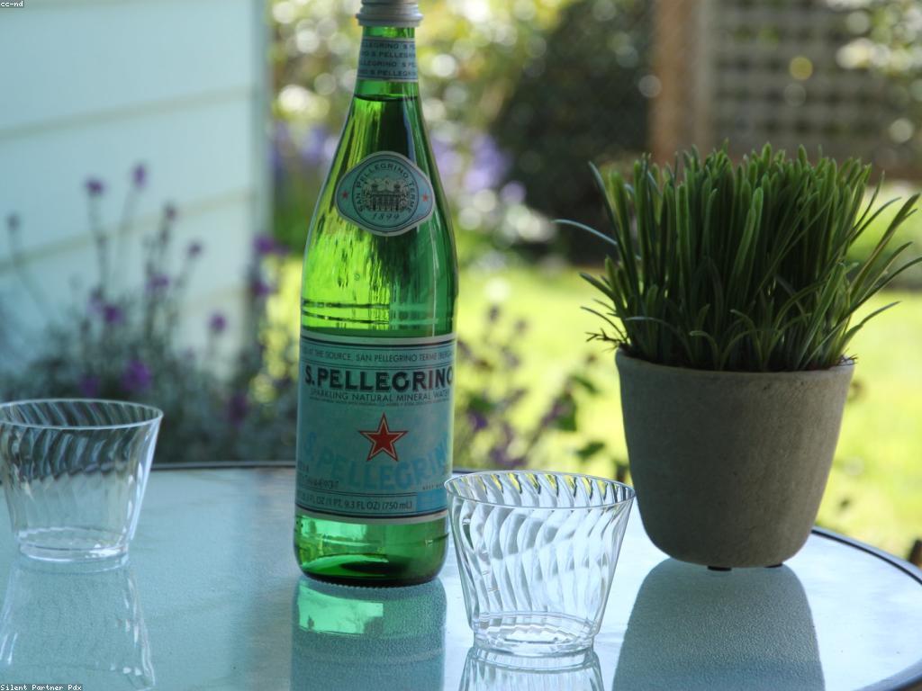 យុទ្ធសាស្ត្រការវិនិយោគសម្រាប់ការលូតលាស់ប្រកបដោយសុវត្ថិភាព