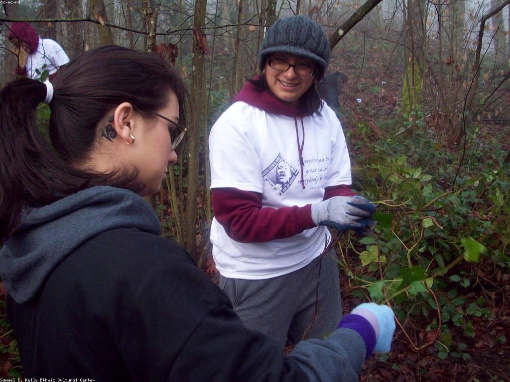 សារៈសំខាន់នៃសេវាកម្មចំប៉ីប៉ុន្តែមានភាពចម្រុះ